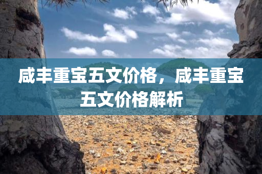 咸今晚必出三肖2025_2025新澳门精准免费提供·精确判断丰重宝五文价格，咸丰重宝五文价格解析