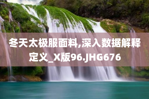 冬天太极服面料,深入数据解释定义_X版96.JHG676