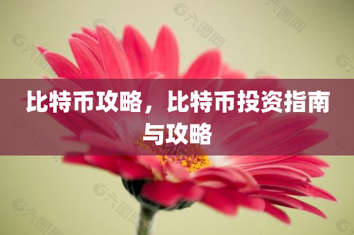 比特币攻略，比特币投资指南今晚必出三肖2025_2025新澳门精准免费提供·精确判断与攻略
