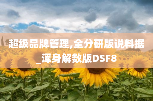 超级品牌管理,全分研版说料据_浑身解数版DSF8