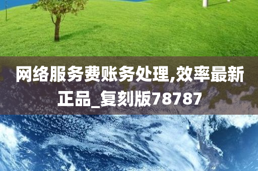 网络服务费账务处理,效率最新正品_复刻版78787