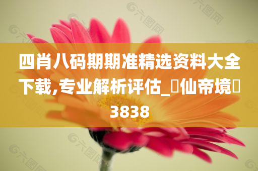 四肖八码期期准精选资料大全下载,专业解析评估_?仙帝境?3838