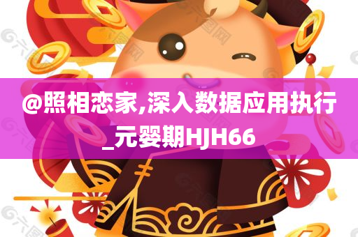 @照相恋家,深入数据应用执行_元婴期HJH66