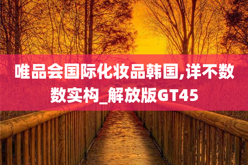 唯品会国际化妆品韩国,详不数数实构_解放版GT45
