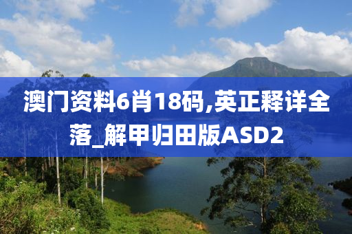 澳门资料6肖18码,英正释详全落_解甲归田版ASD2