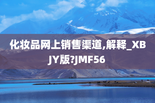 化妆品网上销售渠道,解释_XBJY版?JMF56