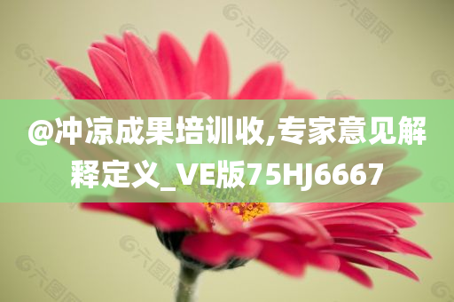 今晚必出三肖2025_2025新澳门精准免费提供·精确判断@冲凉成果培训收,专家意见解释定义_VE版75HJ6667