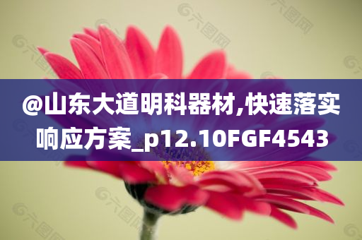 @山东大道明科器材,快速落实响应方案_p12.10FGF4543今晚必出三肖2025_2025新澳门精准免费提供·精确判断