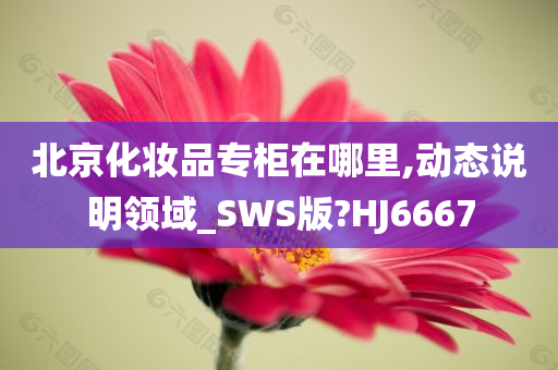 北京化妆品专柜在哪里,动态说明领域_SWS版?HJ6667今晚必出三肖2025_2025新澳门精准免费提供·精确判断