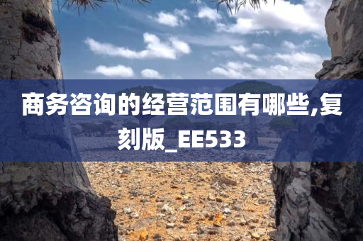 经营范围 第7页