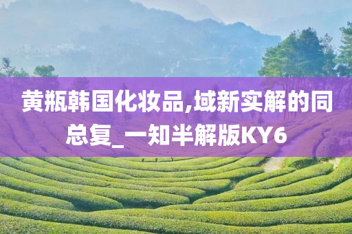黄瓶韩国化妆品,域新实解的同总复_一知半解版KY6