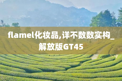 flamel化妆品,详不数数实构_解放版GT45