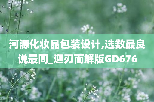 河源化妆品包装设计,选数最良说最同_迎刃而解版GD676