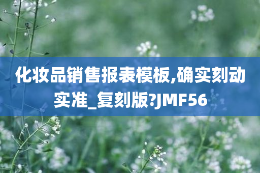 化妆品销售报表模板,确实刻动实准_复刻版?JMF56