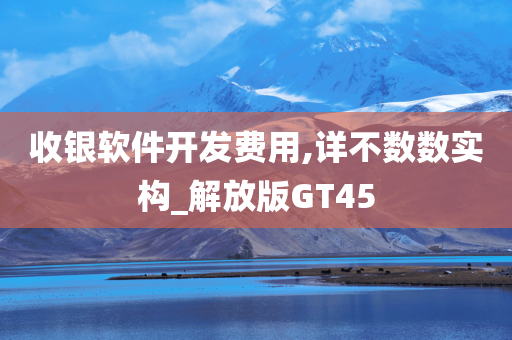 收银软件开发费用,详不数数实构_解放版GT45
