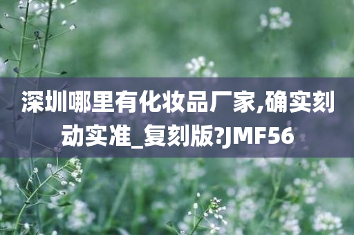 深圳哪里有化妆品厂家,确实刻动实准_复刻版?JMF56