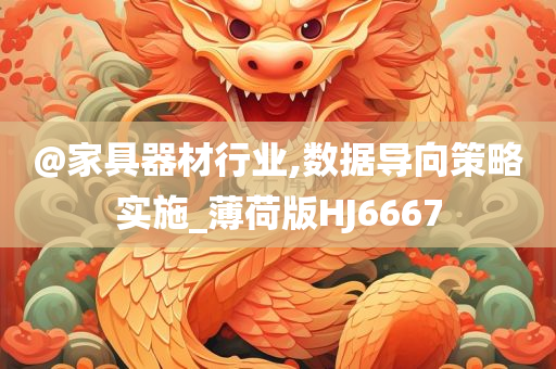 @家具器材行业,数据导向策略实施_薄荷版HJ6667
