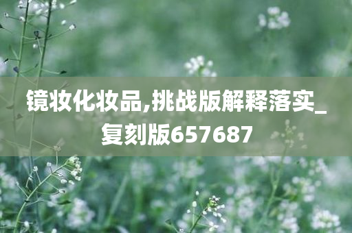 镜妆化妆品,挑战版解释落实_复刻版657687