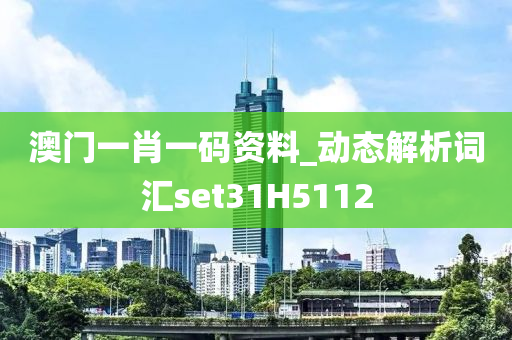 澳门一肖一码资料_动态解析词汇set31H5112