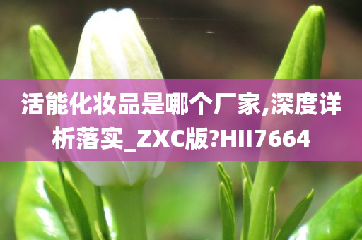活能化妆品是哪个厂家,深度详析落实_ZXC版?HII7664