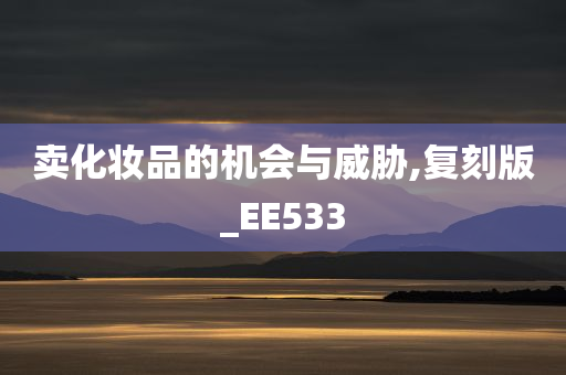 卖化妆品的机会与威胁,复刻版_EE533