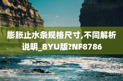 膨胀止水条规格尺寸,不同解析说明_BYU版?NF8786