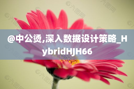@中公烫,深入数据设计策略_HybridHJH66