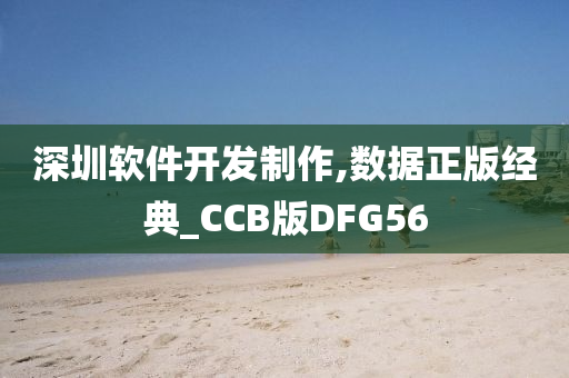 深圳软件开发制作,数据正版经典_CCB版DFG56