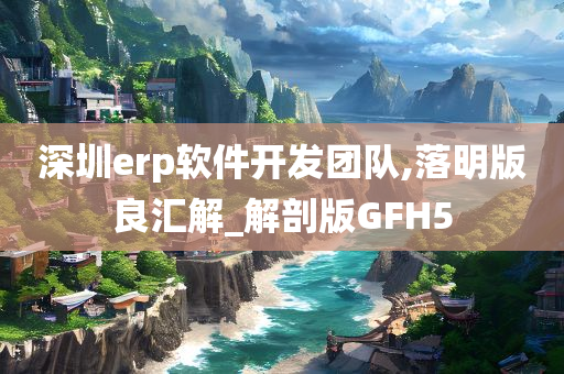 深圳erp软件开发团队,落明版良汇解_解剖版GFH5