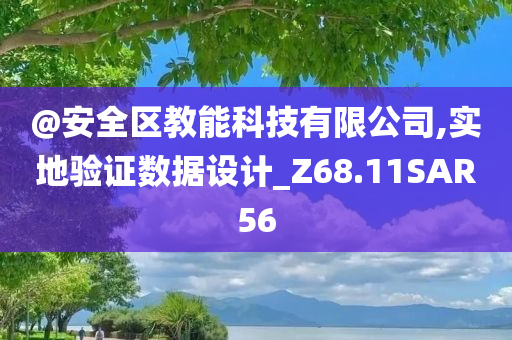 @安全区教能科技有限公司,实地验证数据设计_Z68.11SAR56