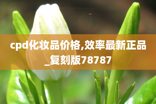 cpd化妆品价格,效率最新正品_复刻版78787