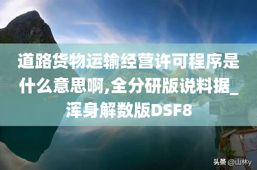 道路货物运输经营许可程序是什么意思啊,全分研版说料据_浑身解数版DSF8