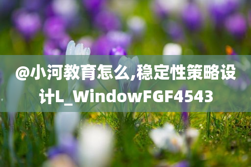 @小河教育怎么,稳定性策略设计L_WindowFGF4543