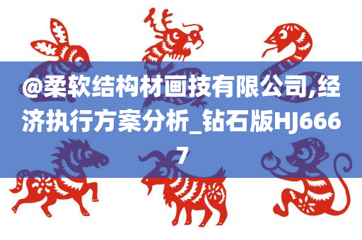 @柔软结构材画技有限公司,经济执行方案分析_钻石版HJ6667