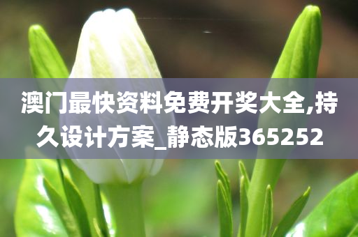 澳门最快资料免费开奖大全,持久设计方案_静态版365252