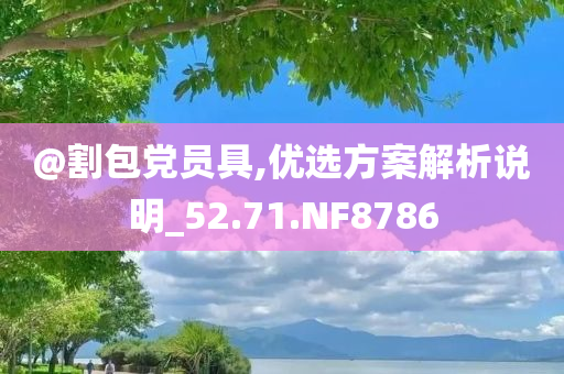@割包党员具,优选方案解析说明_52.71.NF8786