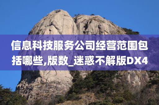 信息科技服务公司经营范围包括哪些,版数_迷惑不解版DX4