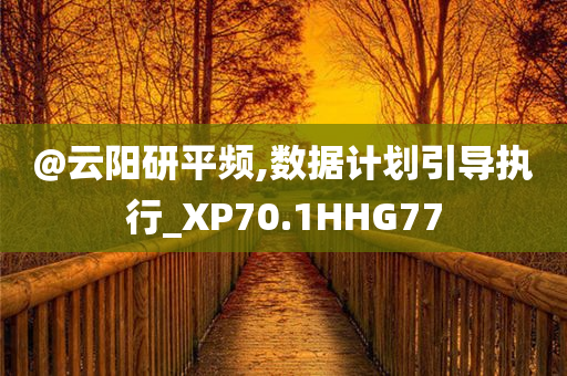 @云阳研平频,数据计划引导执行_XP70.1HHG77