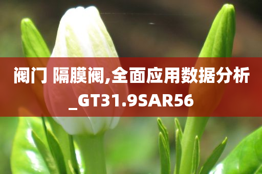 阀门 隔膜阀,全面应用数据分析_GT31.9SAR56