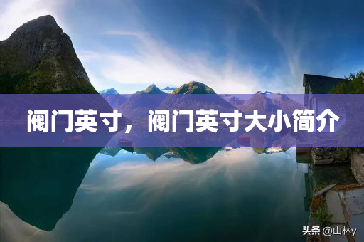 阀门英寸，阀门英寸大小简介