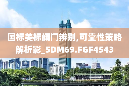国标美标阀门辨别,可靠性策略解析影_5DM69.FGF4543