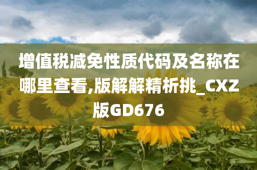 增值税减免性质代码及名称在哪里查看,版解解精析挑_CXZ版GD676