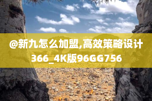 @新九怎么加盟,高效策略设计366_4K版96GG756