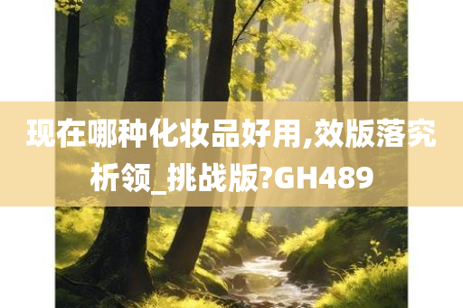 现在哪种化妆品好用,效版落究析领_挑战版?GH489