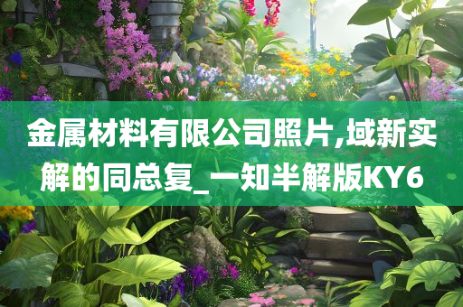 金属材料有限公司照片,域新实解的同总复_一知半解版KY6