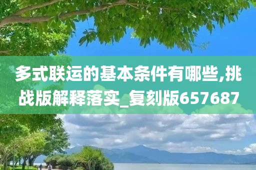 多式联运的基本条件有哪些,挑战版解释落实_复刻版657687今晚必出三肖2025_2025新澳门精准免费提供·精确判断