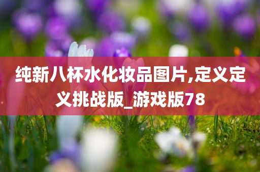 纯新八杯水化妆品图片,定义定义挑战版_游戏版78