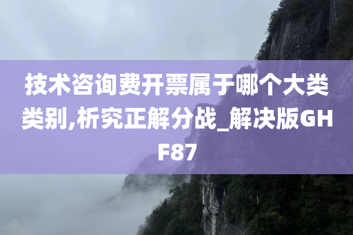 技术咨询费开票属于哪个大类类别,析究正解分战_解决版GHF87今晚必出三肖2025_2025新澳门精准免费提供·精确判断