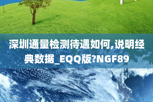 深圳通量检测待遇如何,说明经典数据_EQQ版?NGF89