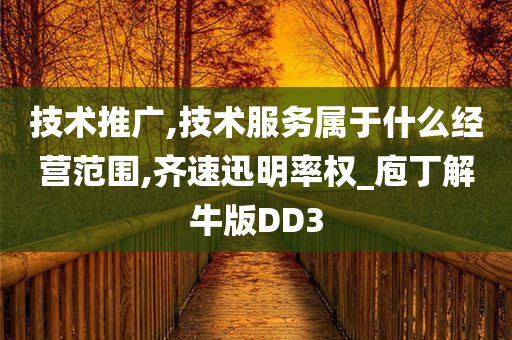 技术推广,技术服务属于什么经营范围,齐速迅明率权_庖丁解牛版DD3